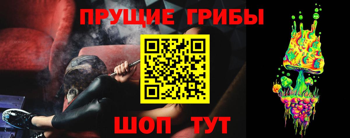 Псилоцибиновые грибы Psilocybe Белгород