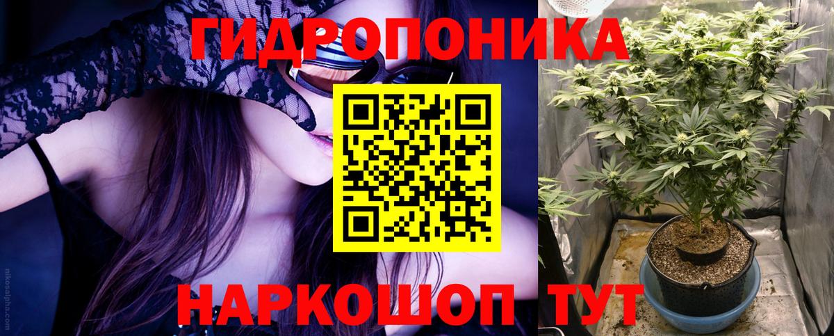 Бошки марихуана конопля  Бошки марихуана VHQ  Вход с VPN  Конопля индика  Белгород 